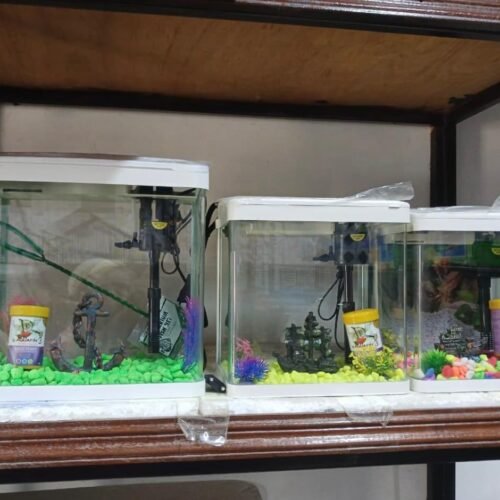 Small Glass Aquariums