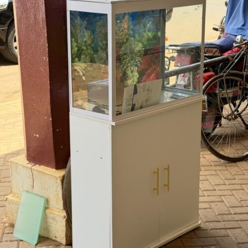 Glass Trophy or Display Cabinet