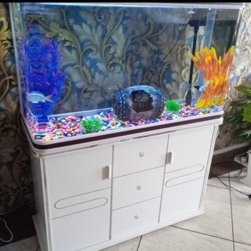 Glass Aquarium Cabinet