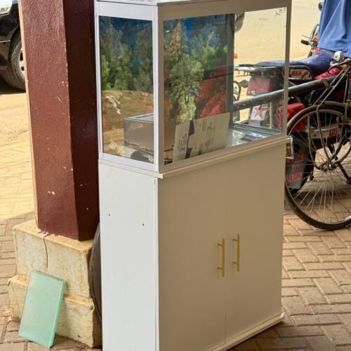 Custom-Made Room Divider Aquarium